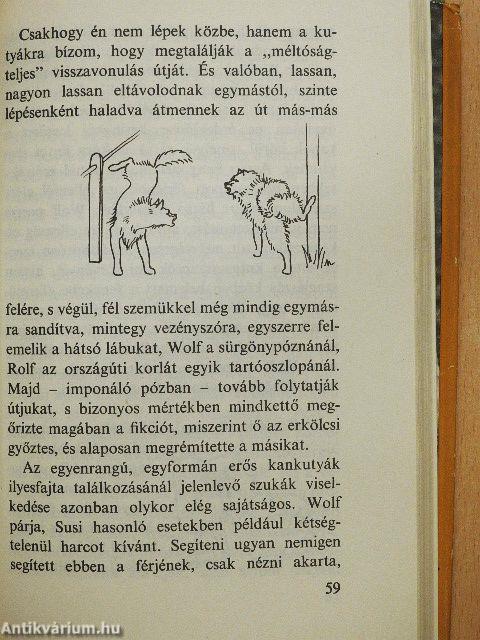 Ember és kutya