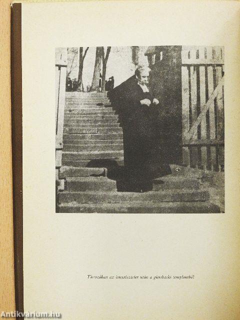 Albert Schweitzer, az igehirdető