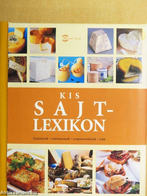 Kis sajtlexikon