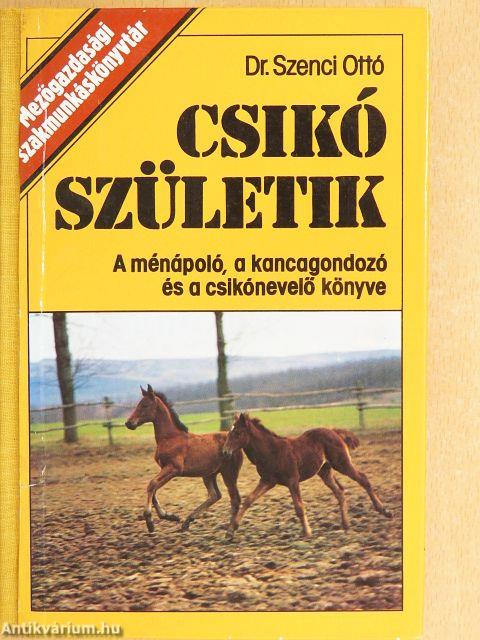 Csikó születik