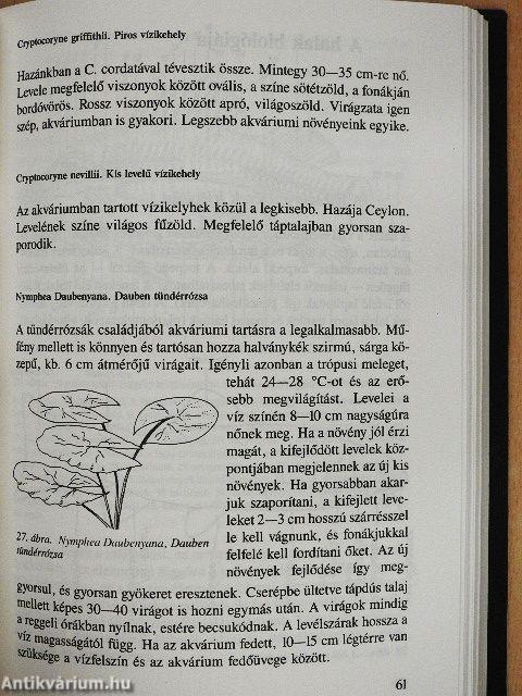 Új akvarisztika