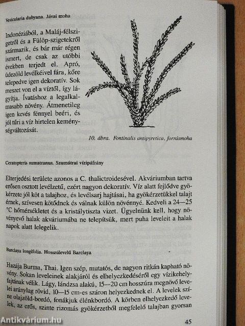 Új akvarisztika