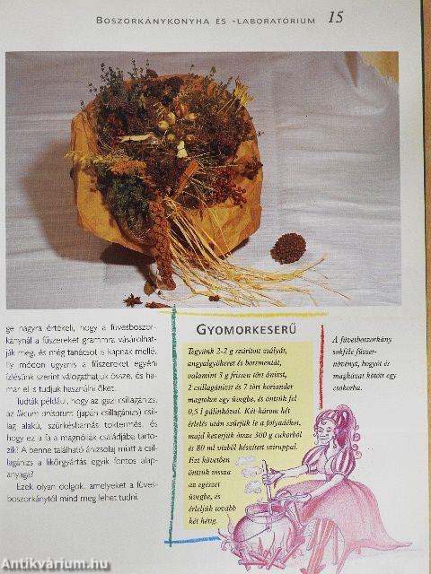 Boszorkánykonyha