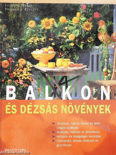 Balkon- és dézsás növények