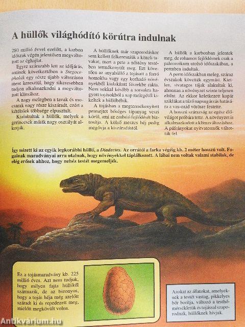 Az ősvilág története gyermekeknek