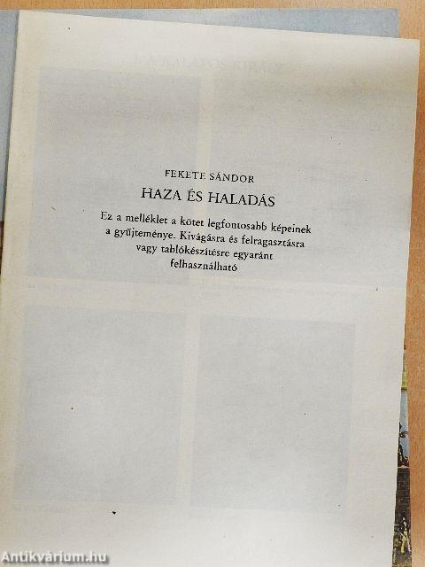 Haza és haladás