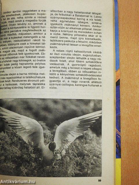 Horgászkalauz 1991.