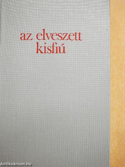 Az elveszett kisfiú