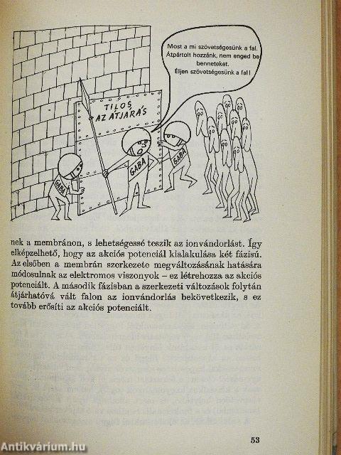 A kibernetika és az ember
