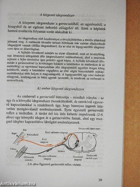 Általános pszichológia