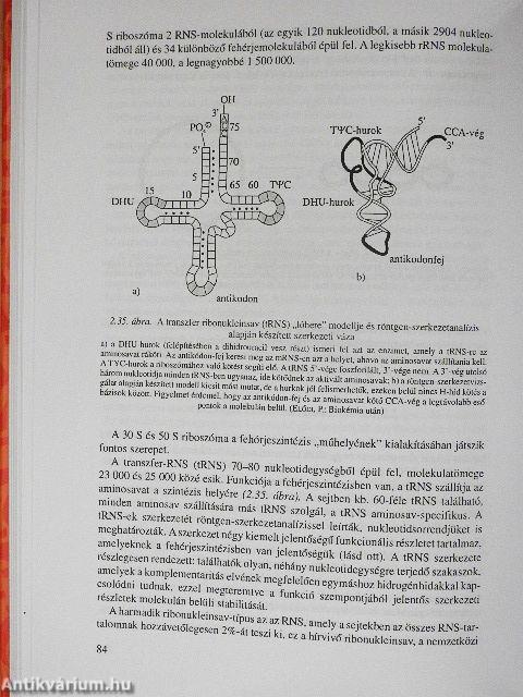 A biokémia alapjai