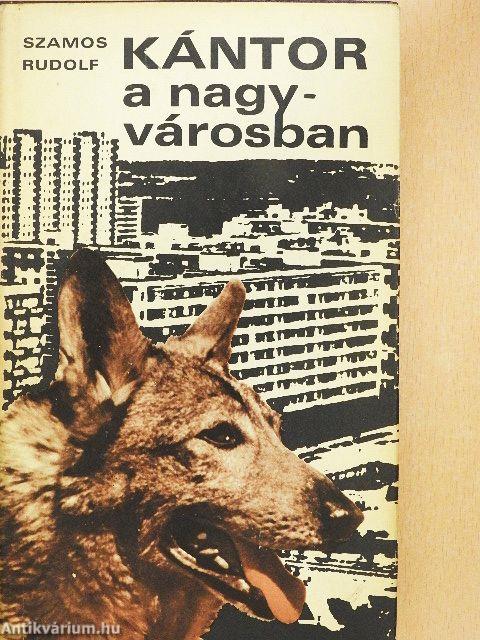 Kántor a nagyvárosban