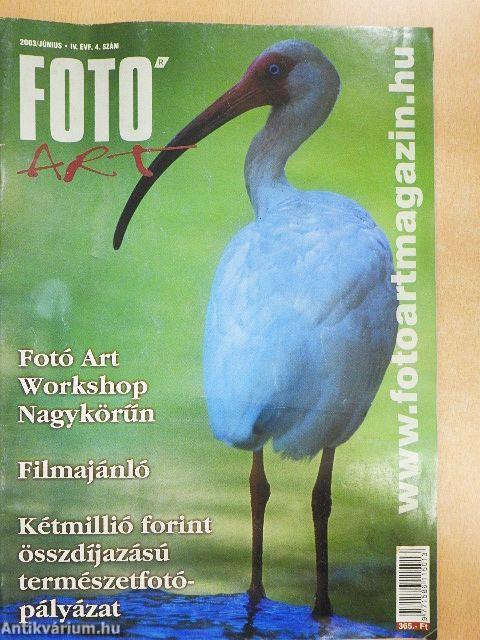Fotó Art 2003. június