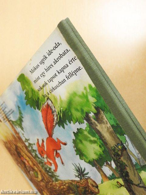 De szép az erdő