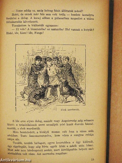 Koldus és királyfi