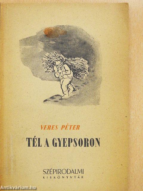 Tél a gyepsoron
