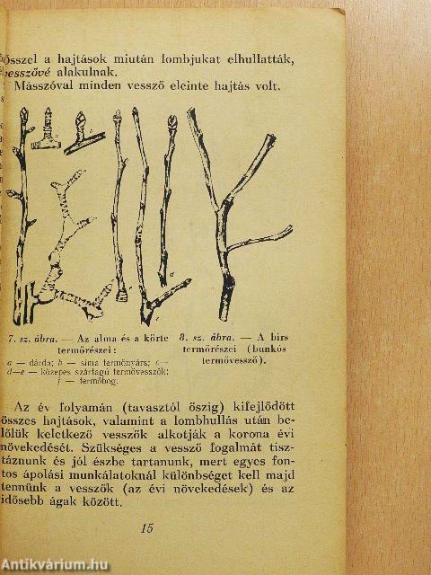 Gyümölcstermesztési tanácsadó