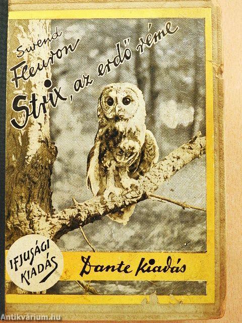 Strix, az erdő réme
