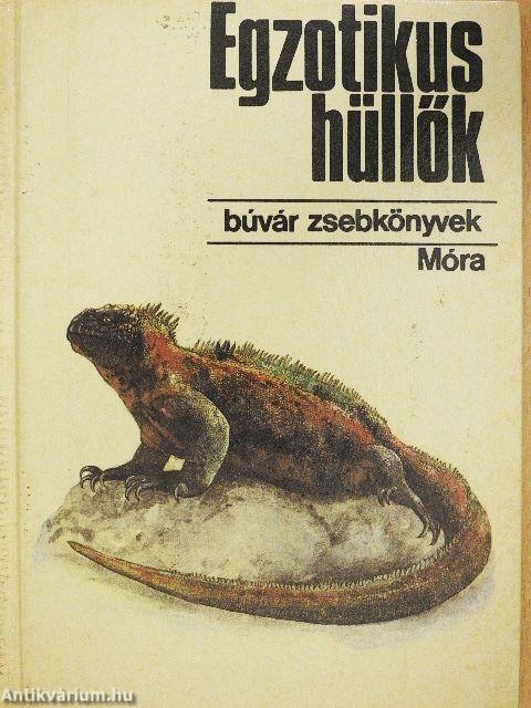 Egzotikus hüllők