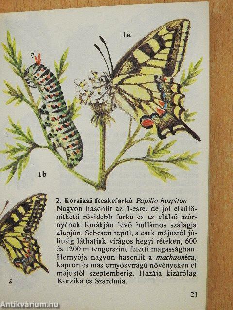 Lepkék