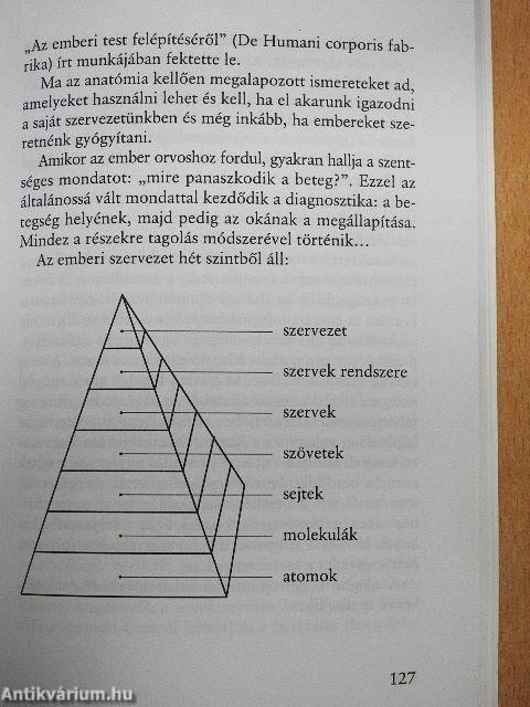 A bioenergetika alapjai