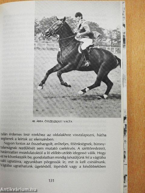 A lovaglás alapjai