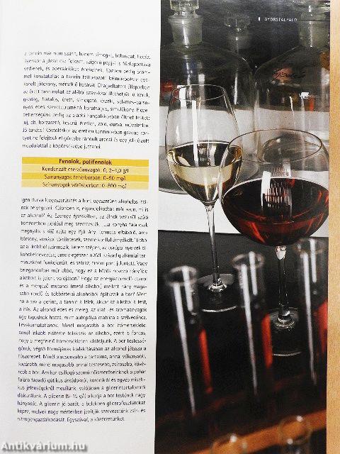 Gusto 2006/1.