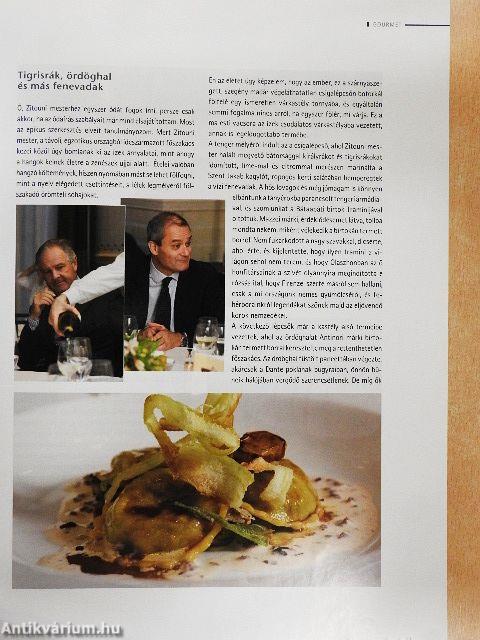 Gusto 2005/5.