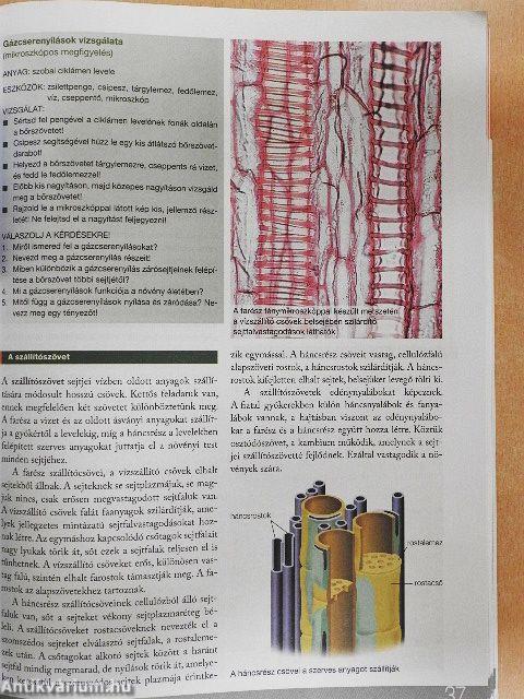 Biológia 9-10.