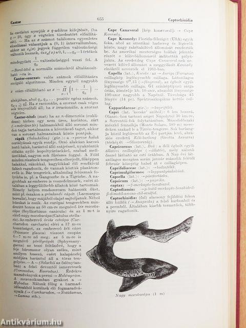 Természettudományi lexikon 1-6.