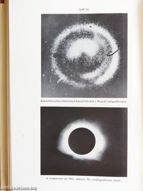 Természettudományi lexikon 1-6.