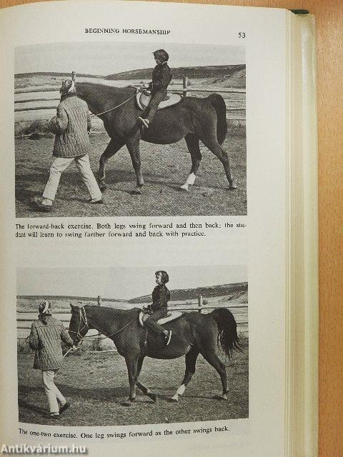 Basic Horsemanship