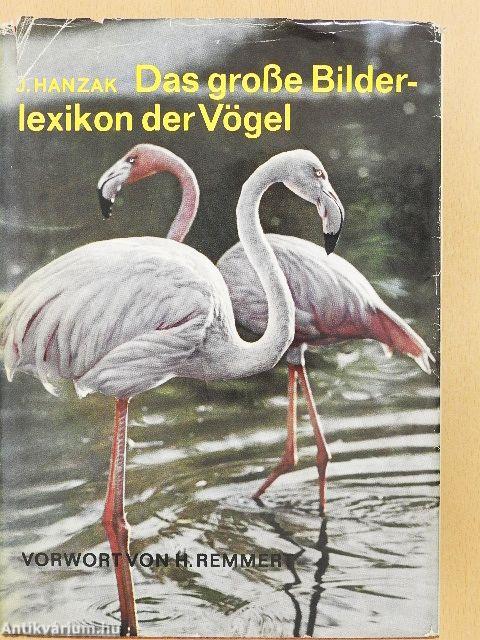 Das grosse Bilderlexikon der Vögel