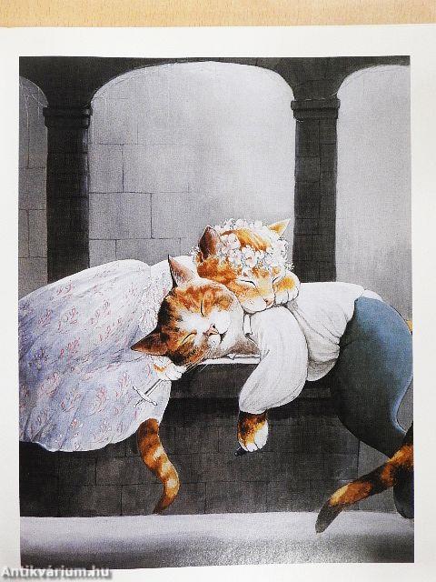 Shakespeare macskaszemmel
