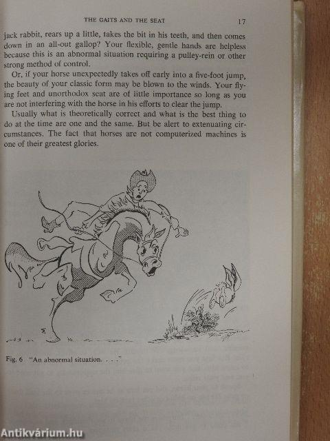 Basic Horsemanship