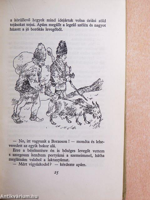 Ábel a rengetegben