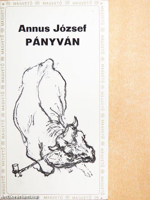 Pányván/Egyenközű vonalak
