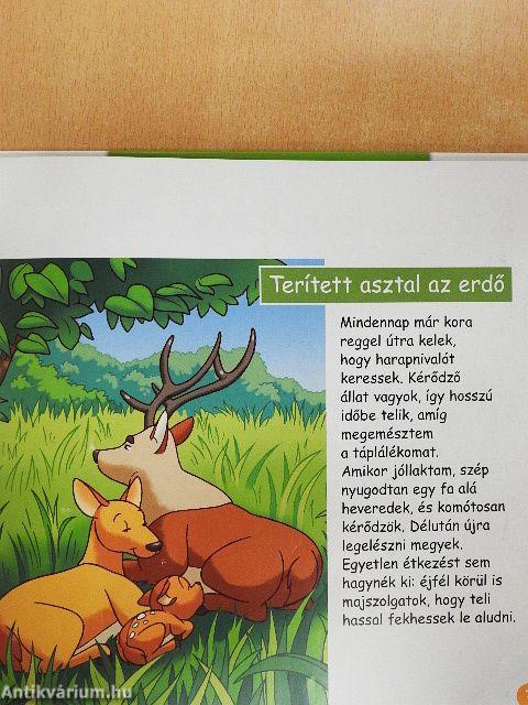 A gímszarvas