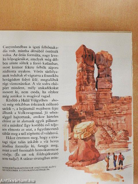 A gyalogkakukk sivatagja