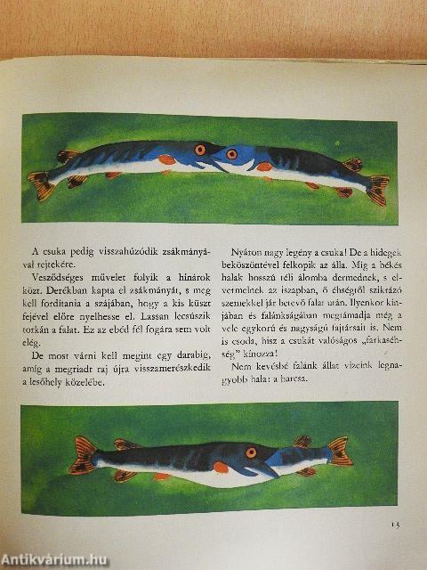 A vizek akrobatái