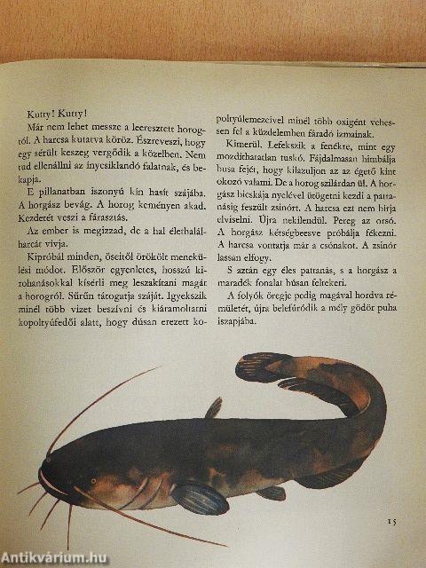 A vizek akrobatái