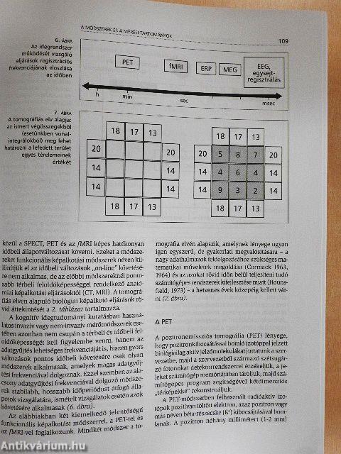 Kognitív idegtudomány