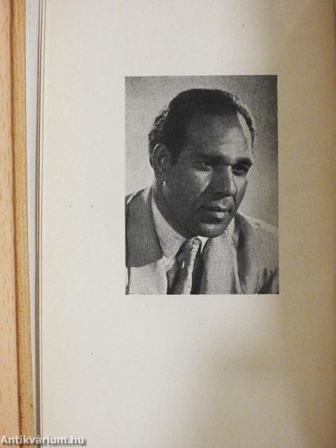 Éji vándor