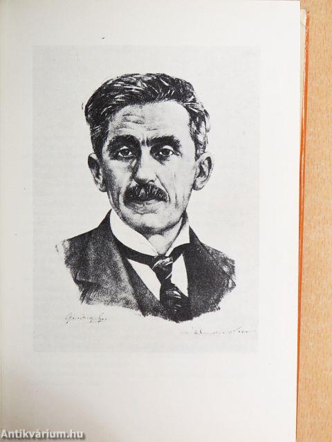 Hosszúhajú veszedelem