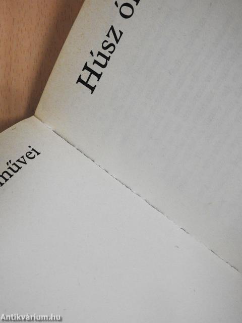 Húsz óra
