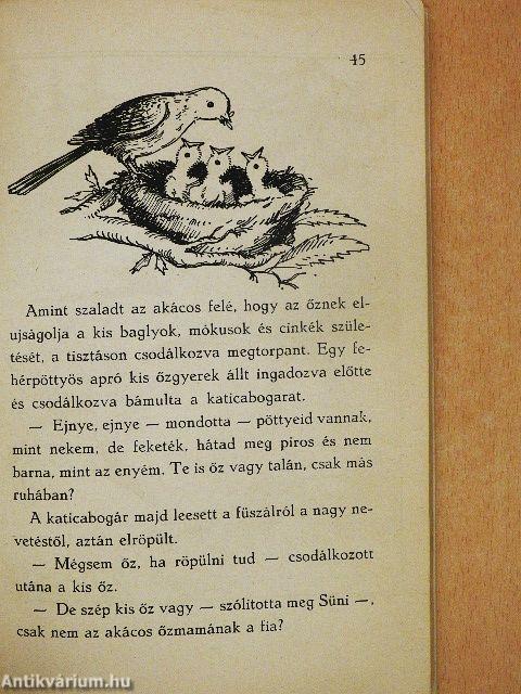 Mesék az erdőből