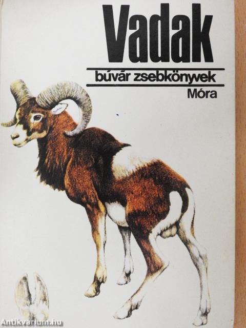Vadak