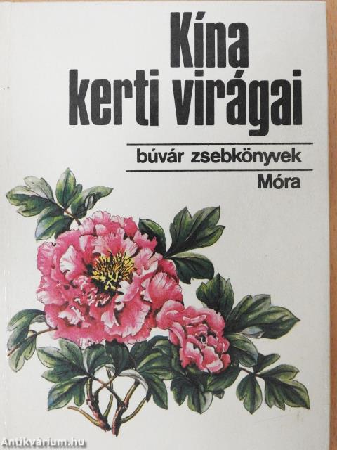 Kína kerti virágai