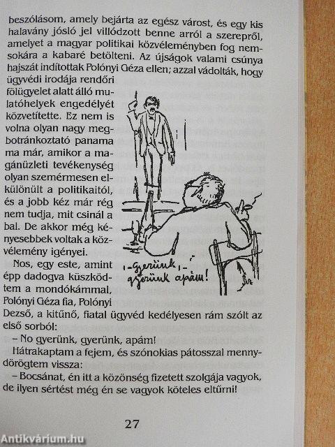 A kabaré regénye