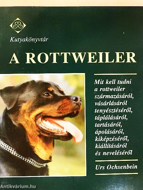 A rottweiler